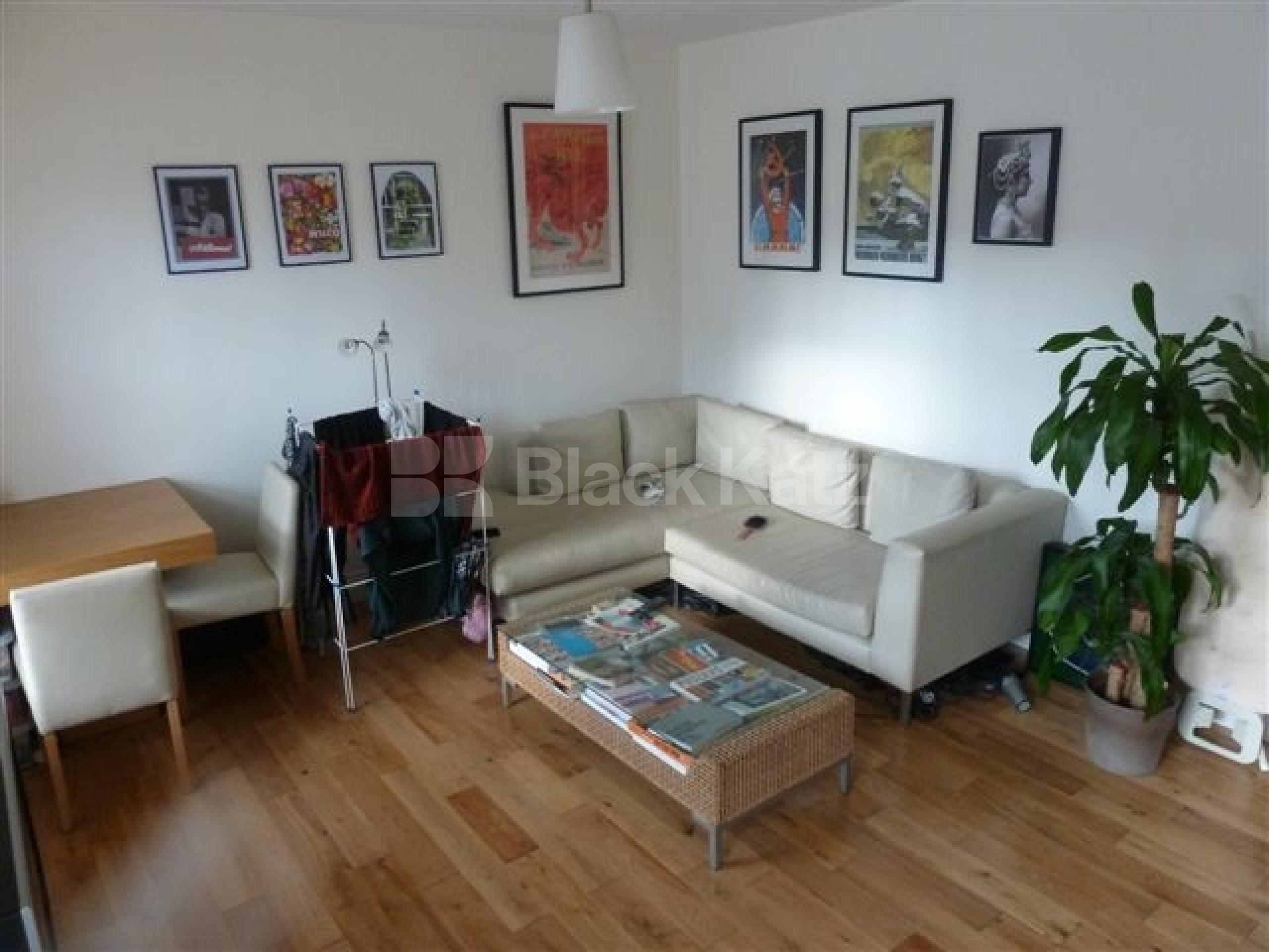 			New Instruction , 1 Bedroom, 1 bath, 1 reception Flat			 Balls Pond Road, ISLINGTON N1